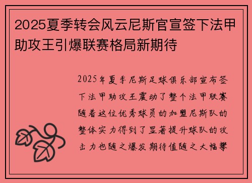 2025夏季转会风云尼斯官宣签下法甲助攻王引爆联赛格局新期待
